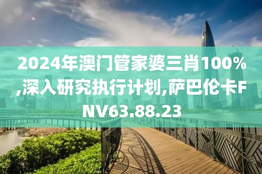 2024年澳门管家婆三肖100%,深入研究执行计划,萨巴伦卡FNV63.88.23
