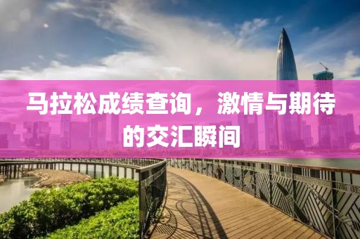 马拉松成绩查询，激情与期待的交汇瞬间