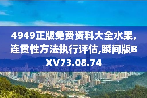 4949正版免费资料大全水果,连贯性方法执行评估,瞬间版BXV73.08.74