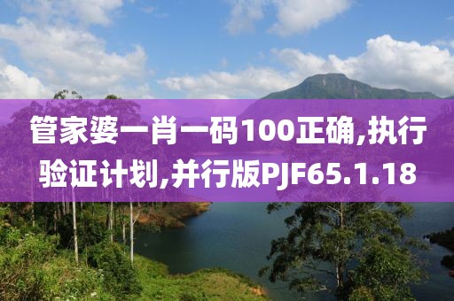 管家婆一肖一码100正确,执行验证计划,并行版PJF65.1.18