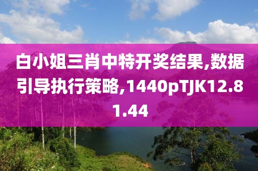 白小姐三肖中特开奖结果,数据引导执行策略,1440pTJK12.81.44
