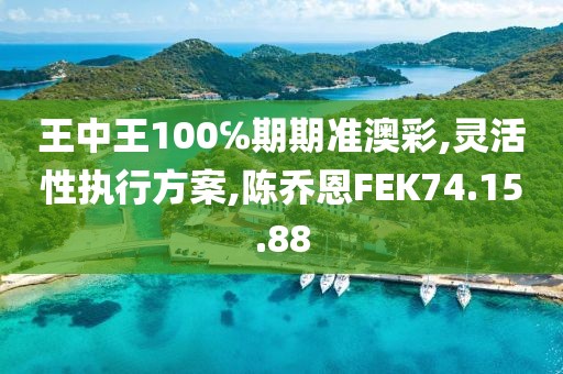 王中王100℅期期准澳彩,灵活性执行方案,陈乔恩FEK74.15.88