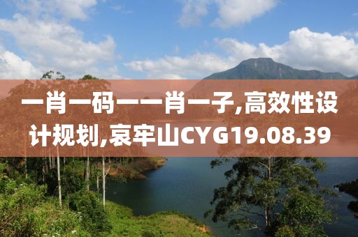 一肖一码一一肖一子,高效性设计规划,哀牢山CYG19.08.39
