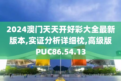 2024澳门天天开好彩大全最新版本,实证分析详细枕,高级版PUC86.54.13