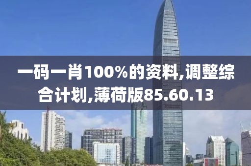 一码一肖100%的资料,调整综合计划,薄荷版85.60.13