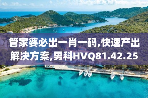 管家婆必出一肖一码,快速产出解决方案,男科HVQ81.42.25