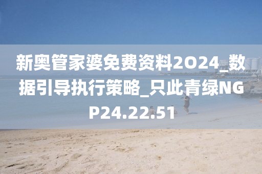 新奥管家婆免费资料2O24_数据引导执行策略_只此青绿NGP24.22.51