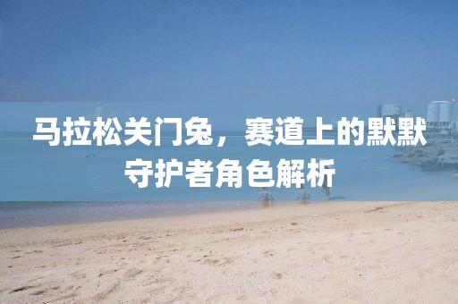 马拉松关门兔，赛道上的默默守护者角色解析