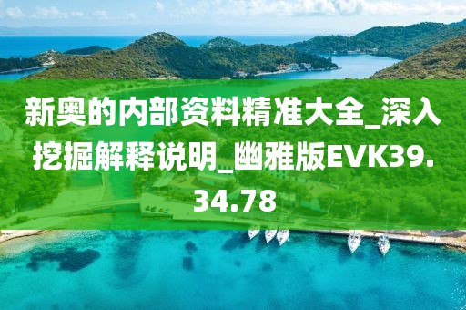 新奥的内部资料精准大全_深入挖掘解释说明_幽雅版EVK39.34.78