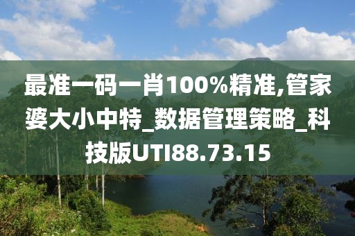 最准一码一肖100%精准,管家婆大小中特_数据管理策略_科技版UTI88.73.15