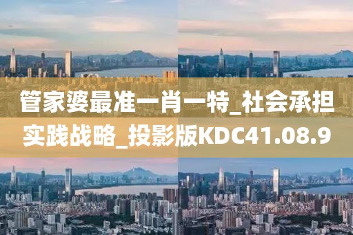 管家婆最准一肖一特_社会承担实践战略_投影版KDC41.08.9