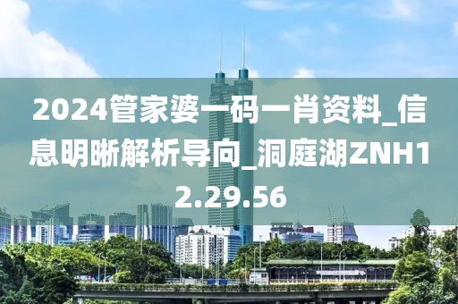 2024管家婆一码一肖资料_信息明晰解析导向_洞庭湖ZNH12.29.56