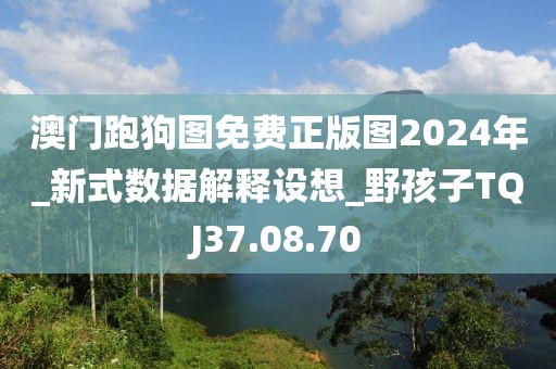 澳门跑狗图免费正版图2024年_新式数据解释设想_野孩子TQJ37.08.70