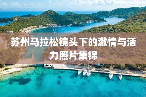 苏州马拉松镜头下的激情与活力照片集锦