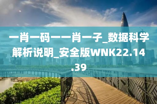 一肖一码一一肖一子_数据科学解析说明_安全版WNK22.14.39