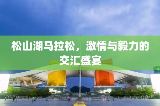松山湖马拉松，激情与毅力的交汇盛宴