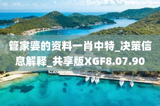 管家婆的资料一肖中特_决策信息解释_共享版XGF8.07.90