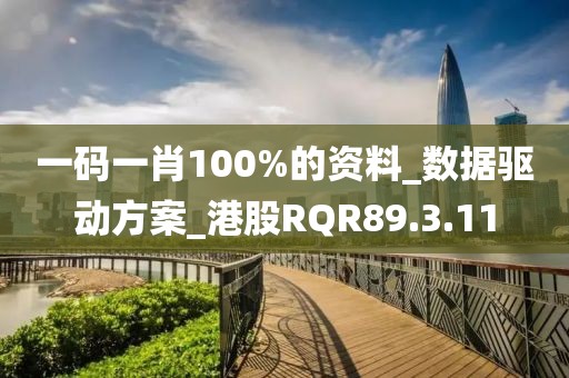 一码一肖100%的资料_数据驱动方案_港股RQR89.3.11