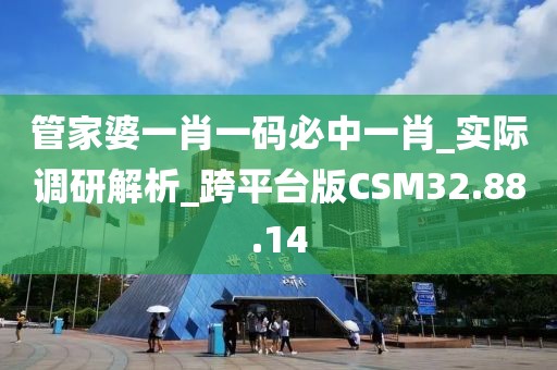 管家婆一肖一码必中一肖_实际调研解析_跨平台版CSM32.88.14