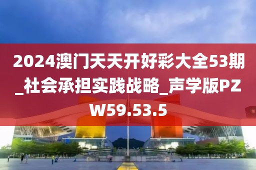 2024澳门天天开好彩大全53期_社会承担实践战略_声学版PZW59.53.5