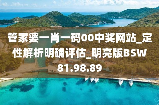 管家婆一肖一码00中奖网站_定性解析明确评估_明亮版BSW81.98.89
