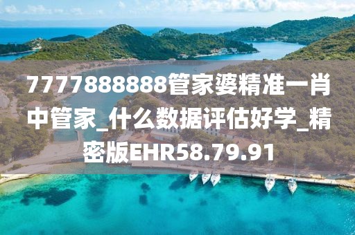 7777888888管家婆精准一肖中管家_什么数据评估好学_精密版EHR58.79.91