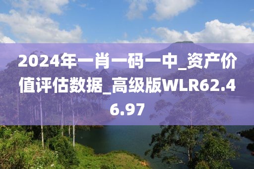 2024年一肖一码一中_资产价值评估数据_高级版WLR62.46.97