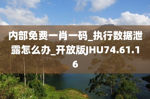 内部免费一肖一码_执行数据泄露怎么办_开放版JHU74.61.16