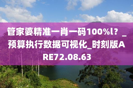 管家婆精准一肖一码100%l？_预算执行数据可视化_时刻版ARE72.08.63