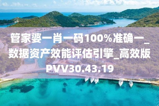 管家婆一肖一码100%准确一_数据资产效能评估引擎_高效版PVV30.43.19