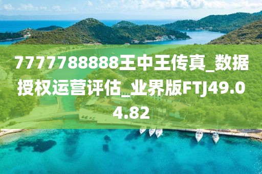 7777788888王中王传真_数据授权运营评估_业界版FTJ49.04.82
