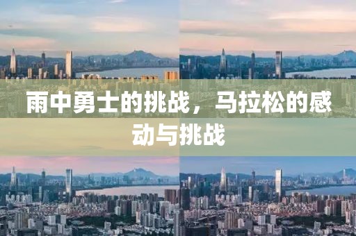 雨中勇士的挑战，马拉松的感动与挑战