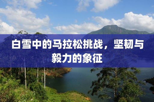 白雪中的马拉松挑战，坚韧与毅力的象征