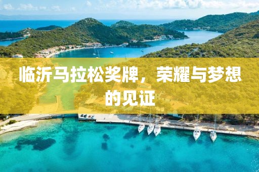 临沂马拉松奖牌，荣耀与梦想的见证