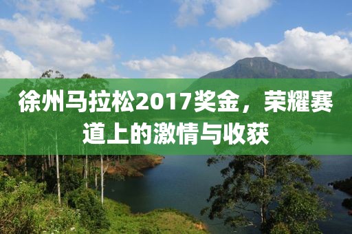 徐州马拉松2017奖金，荣耀赛道上的激情与收获