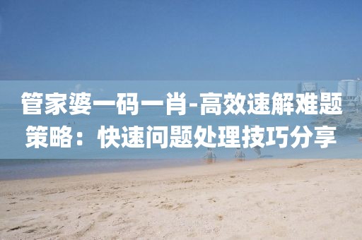 管家婆一码一肖-高效速解难题策略：快速问题处理技巧分享