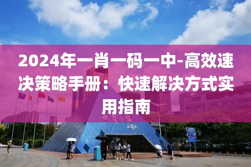 2024年一肖一码一中-高效速决策略手册：快速解决方式实用指南