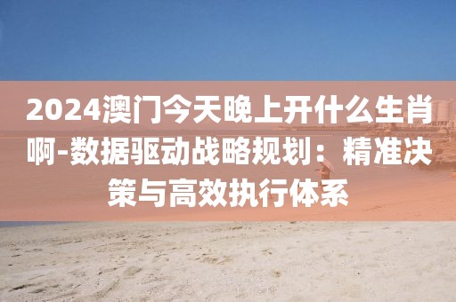 2024澳门今天晚上开什么生肖啊-数据驱动战略规划：精准决策与高效执行体系