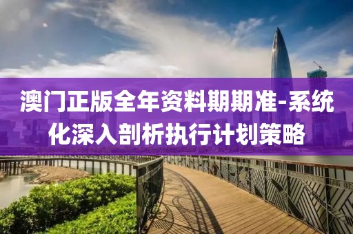 澳门正版全年资料期期准-系统化深入剖析执行计划策略