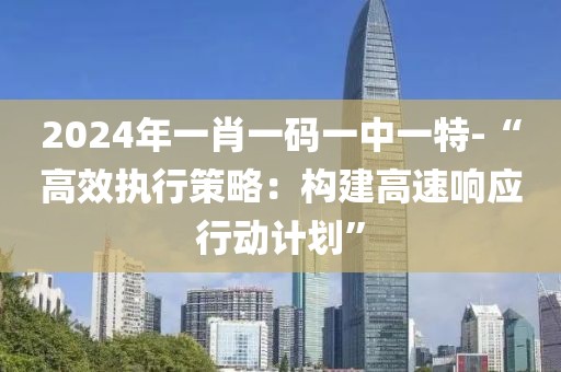 2024年一肖一码一中一特-“高效执行策略：构建高速响应行动计划”