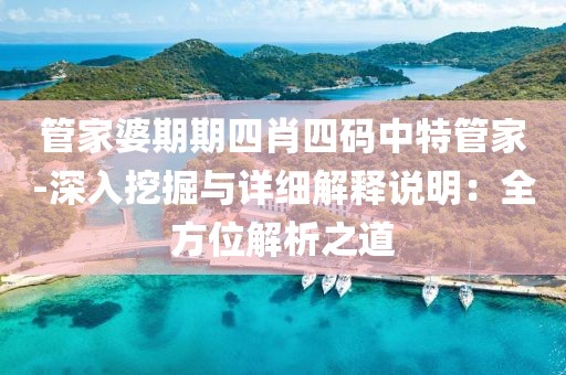 管家婆期期四肖四码中特管家-深入挖掘与详细解释说明：全方位解析之道