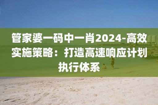 管家婆一码中一肖2024-高效实施策略：打造高速响应计划执行体系