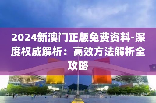 2024新澳门正版免费资料-深度权威解析：高效方法解析全攻略