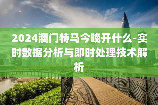 2024澳门特马今晚开什么-实时数据分析与即时处理技术解析