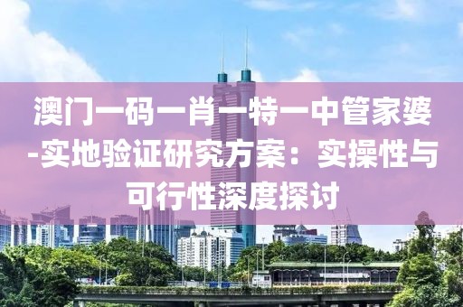 澳门一码一肖一特一中管家婆-实地验证研究方案：实操性与可行性深度探讨
