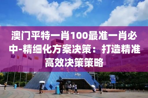 澳门平特一肖100最准一肖必中-精细化方案决策：打造精准高效决策策略