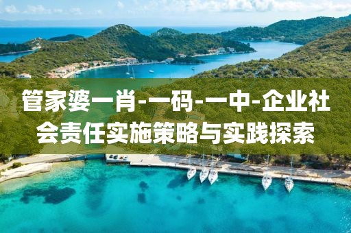 管家婆一肖-一码-一中-企业社会责任实施策略与实践探索