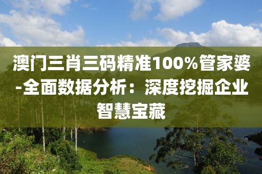 澳门三肖三码精准100%管家婆-全面数据分析：深度挖掘企业智慧宝藏