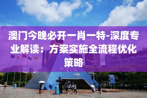 澳门今晚必开一肖一特-深度专业解读：方案实施全流程优化策略