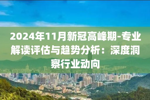 2024年11月新冠高峰期-专业解读评估与趋势分析：深度洞察行业动向